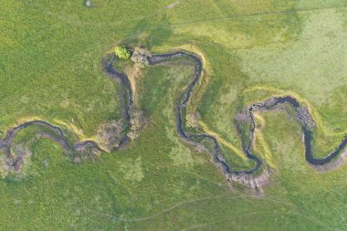 İnsansız hava aracı Avustralya 'da sığır çiftliği üzerinde uçuyor.