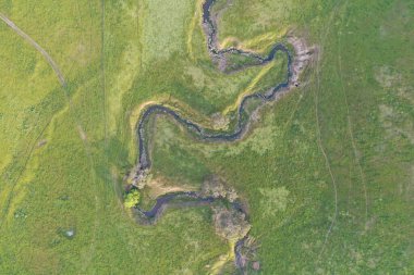 İnsansız hava aracı Avustralya 'da sığır çiftliği üzerinde uçuyor.