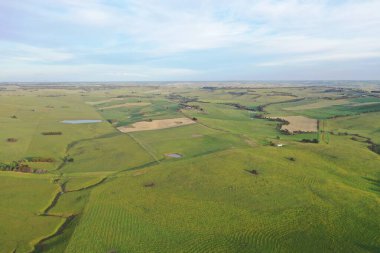 İnsansız hava aracı Avustralya 'da sığır çiftliği üzerinde uçuyor.