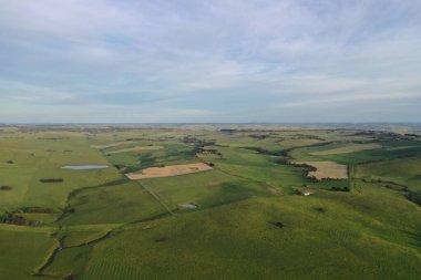 İnsansız hava aracı Avustralya 'da sığır çiftliği üzerinde uçuyor.