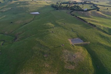 İnsansız hava aracı Avustralya 'da sığır çiftliği üzerinde uçuyor.
