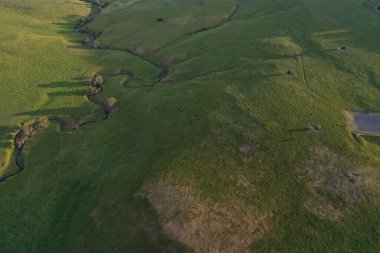 İnsansız hava aracı Avustralya 'da sığır çiftliği üzerinde uçuyor.