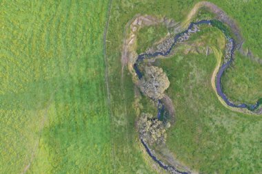 İnsansız hava aracı Avustralya 'da sığır çiftliği üzerinde uçuyor.