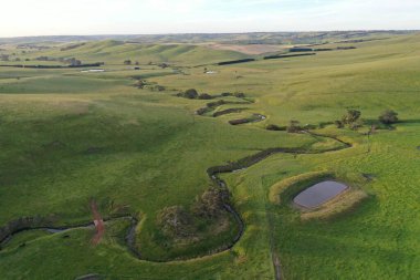İnsansız hava aracı Avustralya 'da sığır çiftliği üzerinde uçuyor.