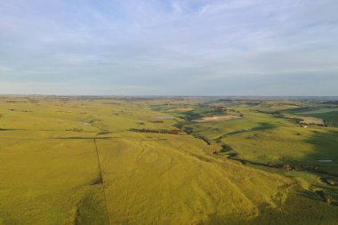 İnsansız hava aracı Avustralya 'da sığır çiftliği üzerinde uçuyor.