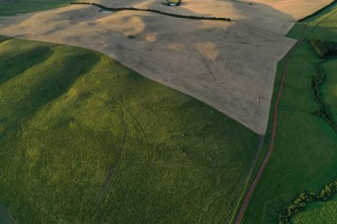 İnsansız hava aracı Avustralya 'da sığır çiftliği üzerinde uçuyor.