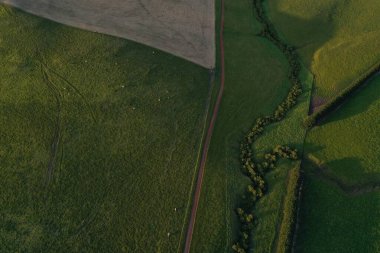 İnsansız hava aracı Avustralya 'da sığır çiftliği üzerinde uçuyor.