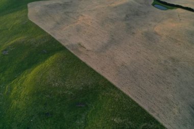 İnsansız hava aracı Avustralya 'da sığır çiftliği üzerinde uçuyor.