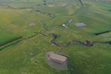 İnsansız hava aracı Avustralya 'da sığır çiftliği üzerinde uçuyor.