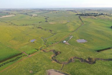 İnsansız hava aracı Avustralya 'da sığır çiftliği üzerinde uçuyor.