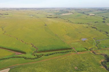İnsansız hava aracı Avustralya 'da sığır çiftliği üzerinde uçuyor.