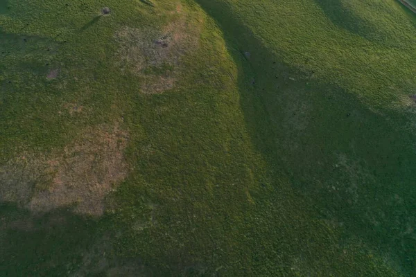 Drone Voando Sobre Uma Fazenda Gado Bovino Austrália — Fotografia de Stock