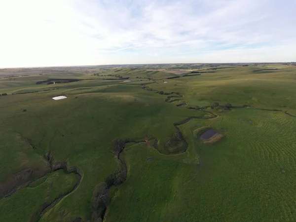 Drone flying over a beef cattle farm in Australia