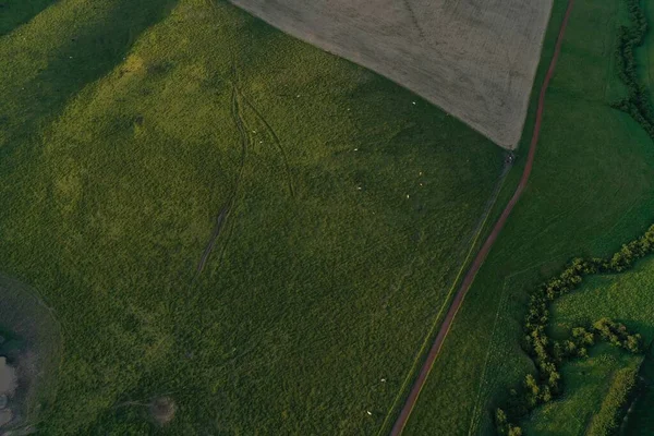 Drone flying over a beef cattle farm in Australia