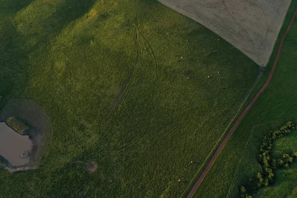 Drone flying over a beef cattle farm in Australia