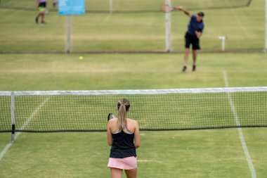 Amatör bir turnuvada tenis oynuyor ve Halle Almanya 'da çimlerde maç yapıyor.