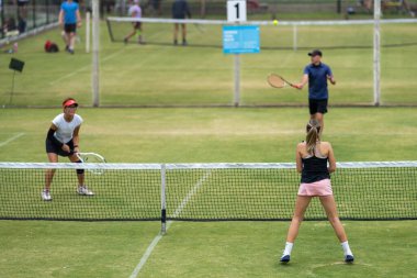 Amatör bir turnuvada tenis oynuyor ve Halle Almanya 'da çimlerde maç yapıyor.