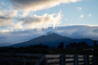 Nehir ve çimlerle kaplı bir havacılık arazisi. Sahilde sığır çiftliği ve deniz kenarında. Okyanus kıyısında ot otlayan ineklerle birlikte tarım.