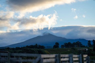 Nehir ve çimlerle kaplı bir havacılık arazisi. Sahilde sığır çiftliği ve deniz kenarında. Okyanus kıyısında ot otlayan ineklerle birlikte tarım.