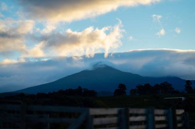 Nehir ve çimlerle kaplı bir havacılık arazisi. Sahilde sığır çiftliği ve deniz kenarında. Okyanus kıyısında ot otlayan ineklerle birlikte tarım.