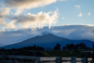 Nehir ve çimlerle kaplı bir havacılık arazisi. Sahilde sığır çiftliği ve deniz kenarında. Okyanus kıyısında ot otlayan ineklerle birlikte tarım.