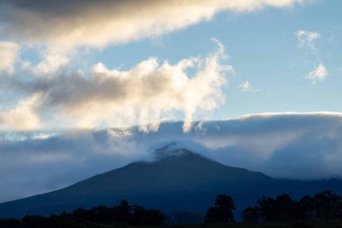 Nehir ve çimlerle kaplı bir havacılık arazisi. Sahilde sığır çiftliği ve deniz kenarında. Okyanus kıyısında ot otlayan ineklerle birlikte tarım.