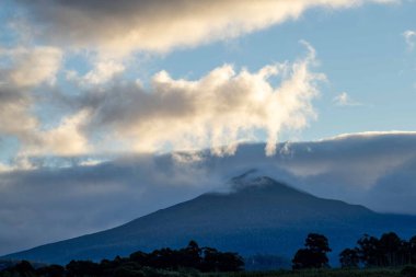 Nehir ve çimlerle kaplı bir havacılık arazisi. Sahilde sığır çiftliği ve deniz kenarında. Okyanus kıyısında ot otlayan ineklerle birlikte tarım.