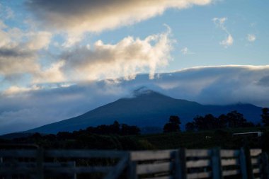 Nehir ve çimlerle kaplı bir havacılık arazisi. Sahilde sığır çiftliği ve deniz kenarında. Okyanus kıyısında ot otlayan ineklerle birlikte tarım.