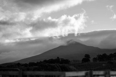 Nehir ve çimlerle kaplı bir havacılık arazisi. Sahilde sığır çiftliği ve deniz kenarında. Okyanus kıyısında ot otlayan ineklerle birlikte tarım.