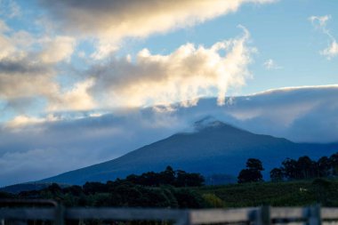 Nehir ve çimlerle kaplı bir havacılık arazisi. Sahilde sığır çiftliği ve deniz kenarında. Okyanus kıyısında ot otlayan ineklerle birlikte tarım.
