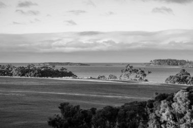 Nehir ve çimlerle kaplı bir havacılık arazisi. Sahilde sığır çiftliği ve deniz kenarında. Okyanus kıyısında ot otlayan ineklerle birlikte tarım.