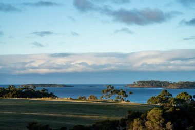 Nehir ve çimlerle kaplı bir havacılık arazisi. Sahilde sığır çiftliği ve deniz kenarında. Okyanus kıyısında ot otlayan ineklerle birlikte tarım.