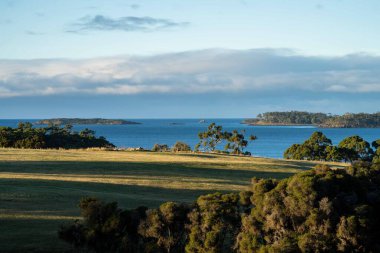 Nehir ve çimlerle kaplı bir havacılık arazisi. Sahilde sığır çiftliği ve deniz kenarında. Okyanus kıyısında ot otlayan ineklerle birlikte tarım.