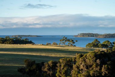 Nehir ve çimlerle kaplı bir havacılık arazisi. Sahilde sığır çiftliği ve deniz kenarında. Okyanus kıyısında ot otlayan ineklerle birlikte tarım.