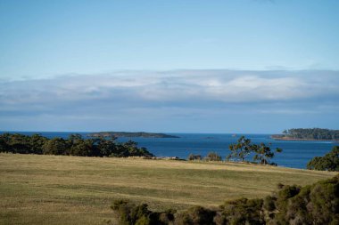 Nehir ve çimlerle kaplı bir havacılık arazisi. Sahilde sığır çiftliği ve deniz kenarında. Okyanus kıyısında ot otlayan ineklerle birlikte tarım.