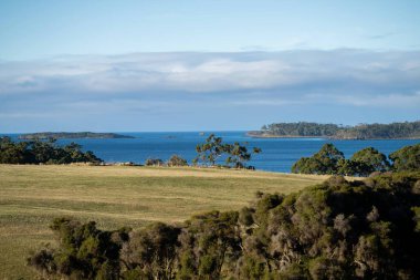 Nehir ve çimlerle kaplı bir havacılık arazisi. Sahilde sığır çiftliği ve deniz kenarında. Okyanus kıyısında ot otlayan ineklerle birlikte tarım.