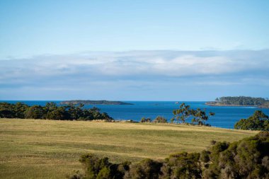Nehir ve çimlerle kaplı bir havacılık arazisi. Sahilde sığır çiftliği ve deniz kenarında. Okyanus kıyısında ot otlayan ineklerle birlikte tarım.