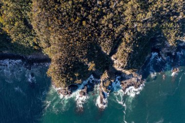 Nehir ve çimlerle kaplı bir havacılık arazisi. Sahilde sığır çiftliği ve deniz kenarında. Okyanus kıyısında ot otlayan ineklerle birlikte tarım.