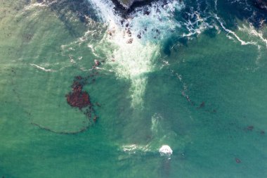 Nehir ve çimlerle kaplı bir havacılık arazisi. Sahilde sığır çiftliği ve deniz kenarında. Okyanus kıyısında ot otlayan ineklerle birlikte tarım.