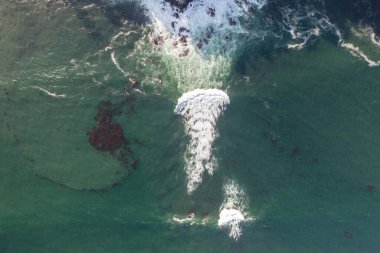 Nehir ve çimlerle kaplı bir havacılık arazisi. Sahilde sığır çiftliği ve deniz kenarında. Okyanus kıyısında ot otlayan ineklerle birlikte tarım.