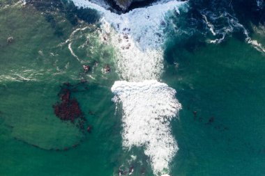 Nehir ve çimlerle kaplı bir havacılık arazisi. Sahilde sığır çiftliği ve deniz kenarında. Okyanus kıyısında ot otlayan ineklerle birlikte tarım.