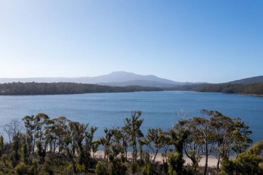 Nehir ve çimlerle kaplı bir havacılık arazisi. Sahilde sığır çiftliği ve deniz kenarında. Okyanus kıyısında ot otlayan ineklerle birlikte tarım.