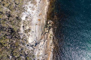 Nehir ve çimlerle kaplı bir havacılık arazisi. Sahilde sığır çiftliği ve deniz kenarında. Okyanus kıyısında ot otlayan ineklerle birlikte tarım.
