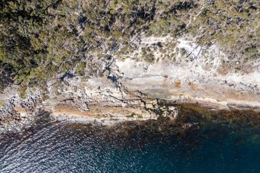 Nehir ve çimlerle kaplı bir havacılık arazisi. Sahilde sığır çiftliği ve deniz kenarında. Okyanus kıyısında ot otlayan ineklerle birlikte tarım.