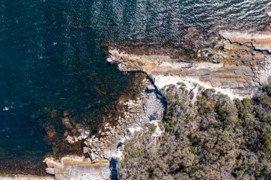 Nehir ve çimlerle kaplı bir havacılık arazisi. Sahilde sığır çiftliği ve deniz kenarında. Okyanus kıyısında ot otlayan ineklerle birlikte tarım.