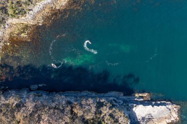 Nehir ve çimlerle kaplı bir havacılık arazisi. Sahilde sığır çiftliği ve deniz kenarında. Okyanus kıyısında ot otlayan ineklerle birlikte tarım.