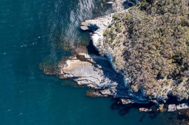 Nehir ve çimlerle kaplı bir havacılık arazisi. Sahilde sığır çiftliği ve deniz kenarında. Okyanus kıyısında ot otlayan ineklerle birlikte tarım.