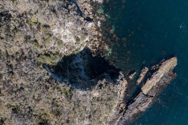 Nehir ve çimlerle kaplı bir havacılık arazisi. Sahilde sığır çiftliği ve deniz kenarında. Okyanus kıyısında ot otlayan ineklerle birlikte tarım.