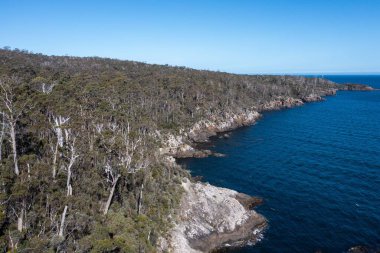 Nehir ve çimlerle kaplı bir havacılık arazisi. Sahilde sığır çiftliği ve deniz kenarında. Okyanus kıyısında ot otlayan ineklerle birlikte tarım.