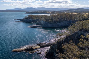 Nehir ve çimlerle kaplı bir havacılık arazisi. Sahilde sığır çiftliği ve deniz kenarında. Okyanus kıyısında ot otlayan ineklerle birlikte tarım.